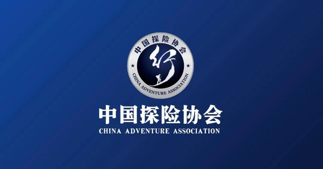 关于撤销第六届理事会名誉主席、副主席事项的公告